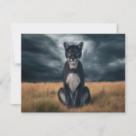 Cartão Postal Postcards Divers Série 1 09