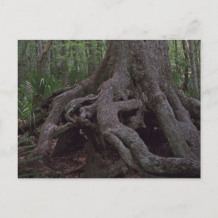 Cartão Postal Postcards Personalizados de Artefato Florestal Ind