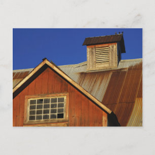 CARTÃO POSTAL    POSTCARDSNORTH HERO VERMONT