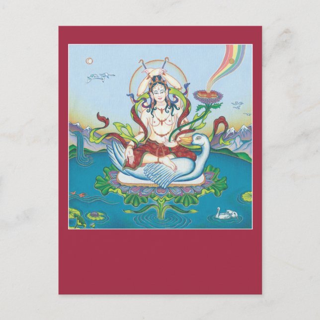 Cartão Postal POSTCARTÃO Tara protegendo venenos (Frente)