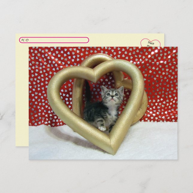 Cartão Postal Postcross - Love, Lilo - Cat / Kitten Heart (Frente/Verso)