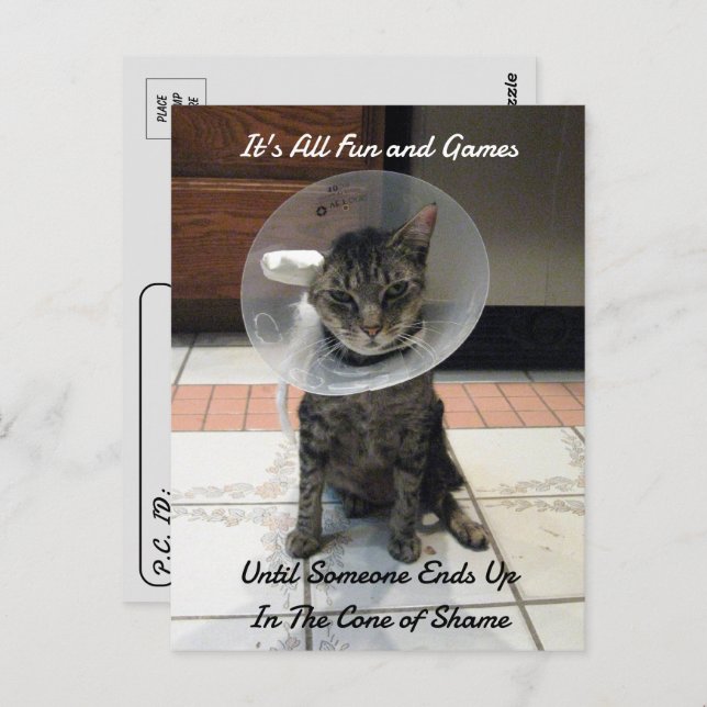 Cartão Postal Postcross - Oliver The Cats Cone of Shame (Frente/Verso)