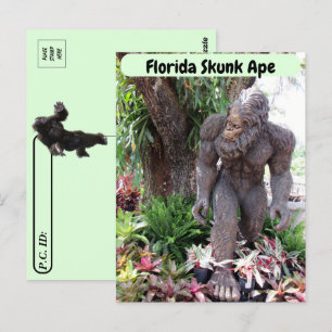 Cartão Postal Postcross - Pic do Flórida Skunk Ape