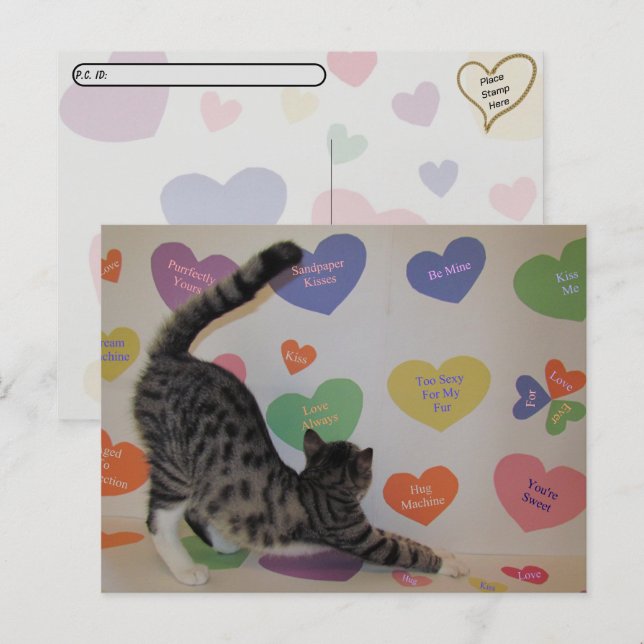 Cartão Postal Postcross - Wyatt The Cat's Conversation Hearts (Frente/Verso)