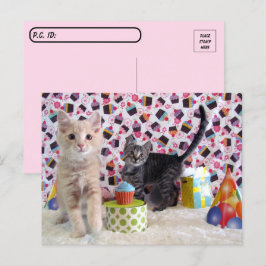 Cartão Postal Postcrossing - Feliz Aniversário Gatos