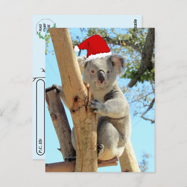 Cartão Postal Postcrossing - Natal Koala (Frente/Verso)