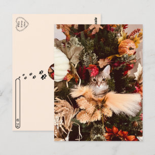 Cartão Postal Postcrossing - Outono A gata Autumn posa para o ou