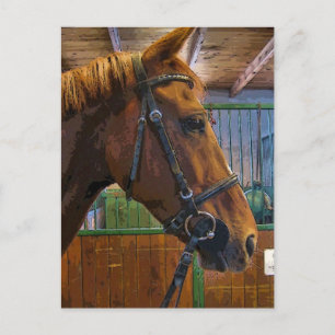 Cartão Postal Poster