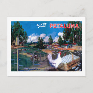 Cartão Postal Poster de cesta de ovos do mundo