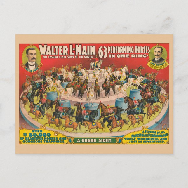 Cartão Postal Poster De Circo De 63 Cavalos Executantes Num Anel (Frente)