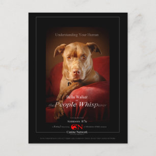Cartão Postal Poster de Filme de Mix Dog de Pit de Chocolate