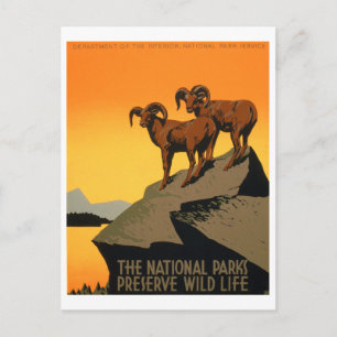 Cartão Postal POSTER de preservação de vida selvagem do VIntag