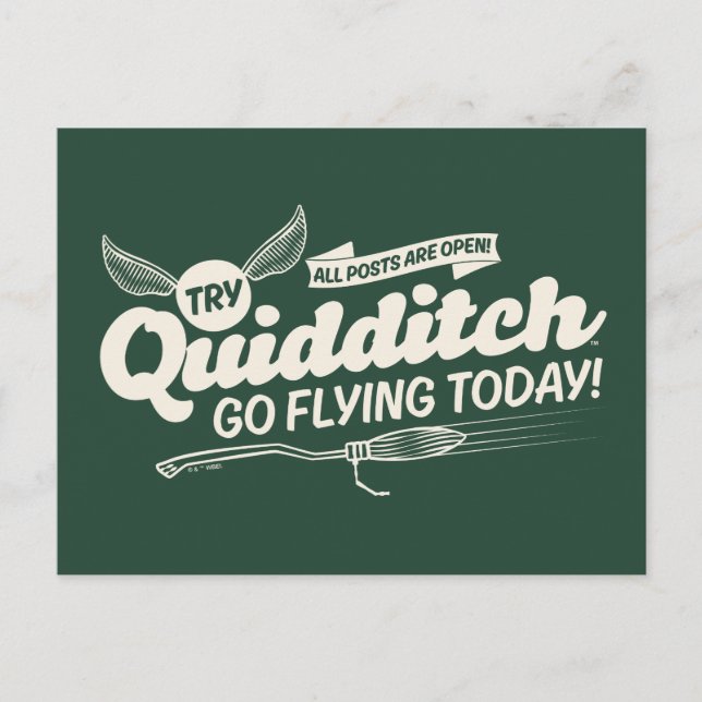 Cartão Postal POSTER DE Recrutamento QUIDDITCH™ (Frente)