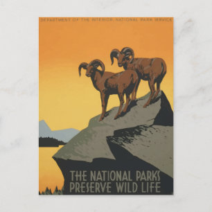 Cartão Postal Poster de viagens Retro do Parque Nacional Vintage