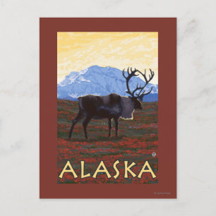 Cartão Postal Poster de Viagens vintage do AlaskaCariou