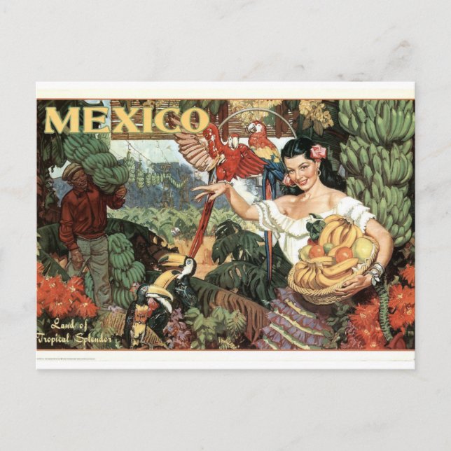 Cartão Postal Poster do Vintage Mexico (Frente)