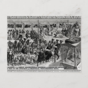 Cartão Postal Poster publicando: 'Barnum e Bailey
