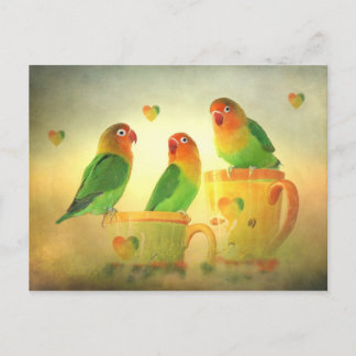 Cartão Postal Postkarte