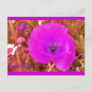 Cartão Postal Postkarte