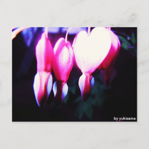 Cartão Postal Postkarte - Blumenherzen