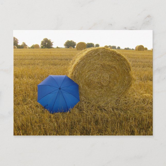 Cartão Postal Postkarte - ein ungleiches Paar (Frente)