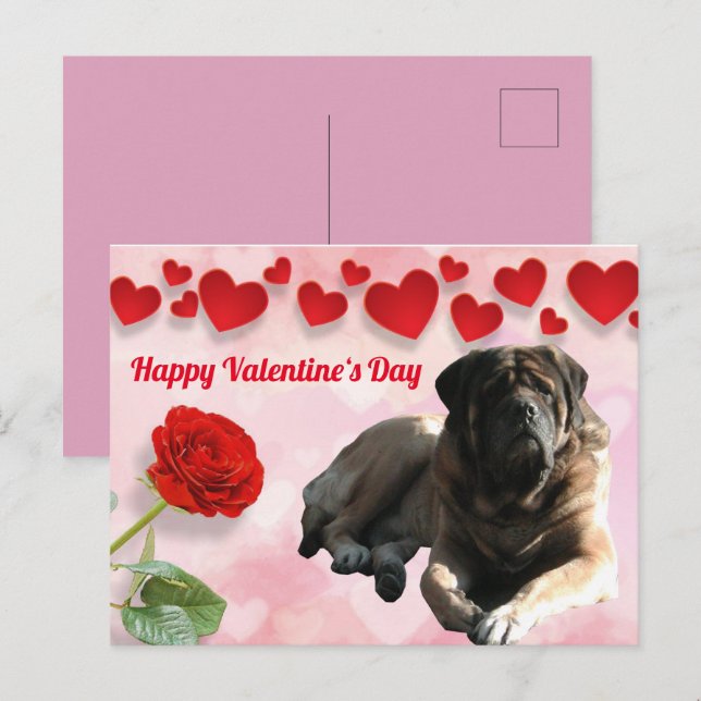 Cartão Postal Postkarte English Mastiff Valentinstags  (Frente/Verso)