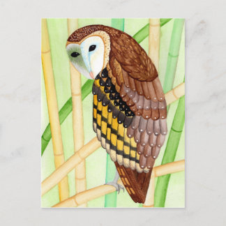 Cartão Postal Postkarte Eule
