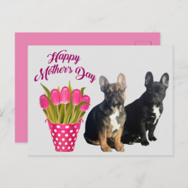 Cartão Postal Postkarte französische Bulldogge Muttertag