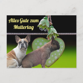 Cartão Postal Postkarte französische Bulldoggen Muttertag