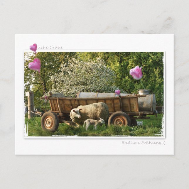 Cartão Postal Postkarte: Frühling (Frente)