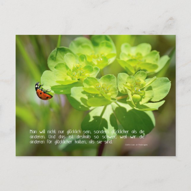Cartão Postal Postkarte Glück (Edição sinn.worte) (Frente)