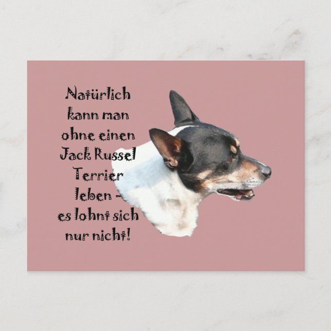 Cartão Postal Postkarte "Jack Russel Terrier" (Frente)