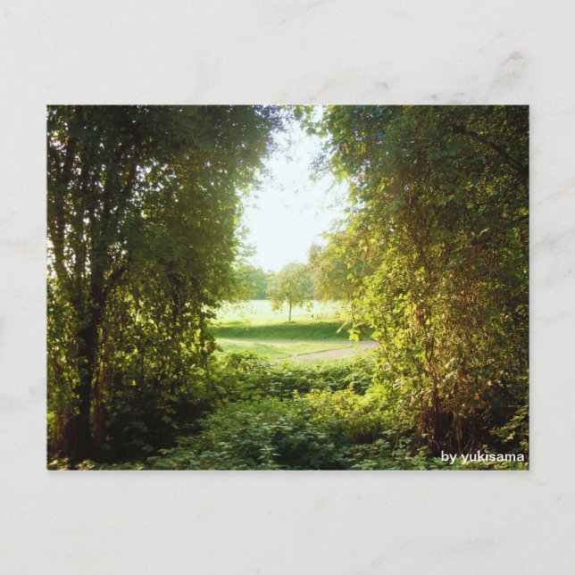 Cartão Postal Postkarte - Laubfenster (Frente)