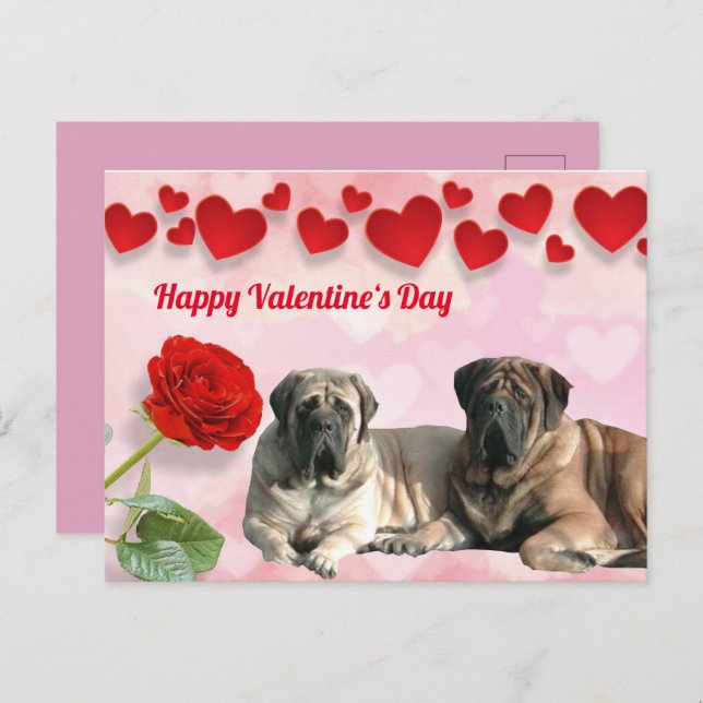 Cartão Postal Postkarte Mastiff Valentine‘s Day (Frente/Verso)