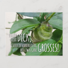Cartão Postal Postkarte mit Raupe & Humor 