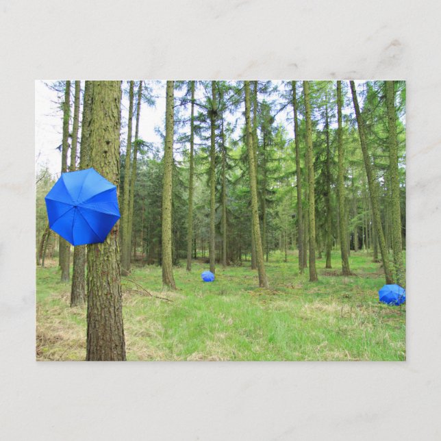 Cartão Postal Postkarte - neulich im Wald (Frente)