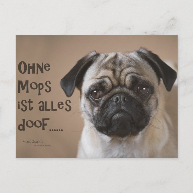 Cartão Postal Postkarte "Ohne Mops ist alles doof" (Frente)