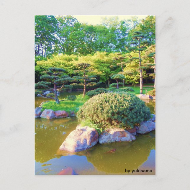 Cartão Postal Postkarte - Schildkröten Insel (Frente)