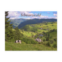 Postkarte: Wiesen und eine Kuh mit Panoramaansicht