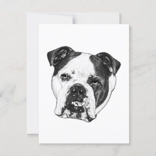 Cartão Postal Posto Bulldog de Cheque Rápido
