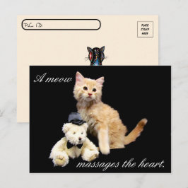Cartão Postal Posto - Cat Pic - Sundrop e Teddy Bear
