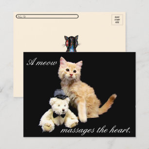 Cartão Postal Posto - Cat Pic - Sundrop e Teddy Bear