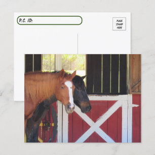 Cartão Postal Posto - Cavalos no Cartão-Postal Estável