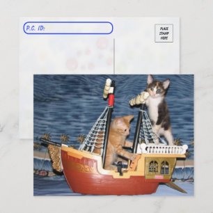 Cartão Postal Posto - Cristinos Piratas - Gato / Gatinho