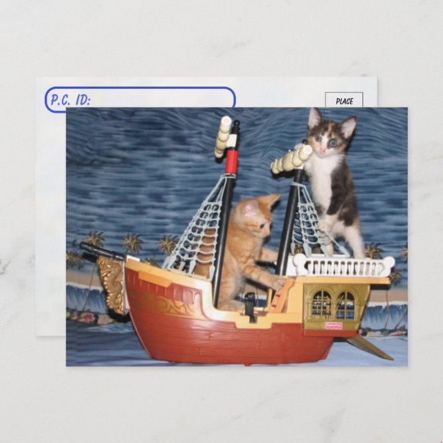 Cartão Postal Posto - Cristinos Piratas - Gato / Gatinho (Frente/Verso)
