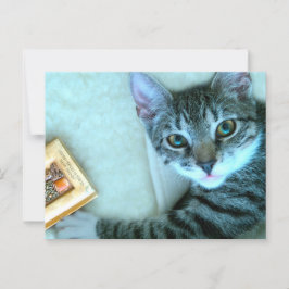 Cartão Postal Posto de Cat