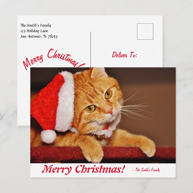 Cartão Postal Posto de Gatos de Laranja de Natal Personalizado (Frente/Verso)