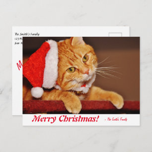 Cartão Postal Posto de Gatos de Laranja de Natal Personalizado