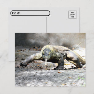 Cartão Postal Posto - Dragão Komodo Vindo Para Você