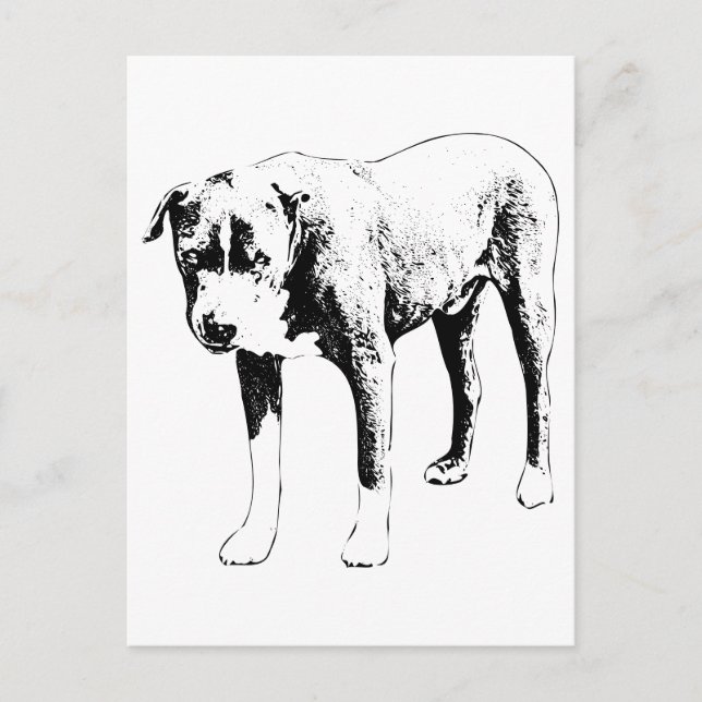 Cartão Postal Posto Pit Bull, Snow Day Hello (Frente)